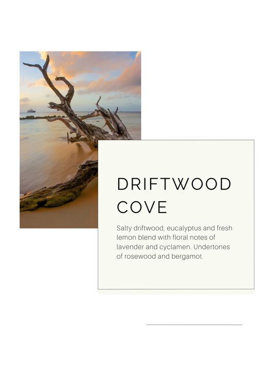 Driftwood Cove | Soy Candle