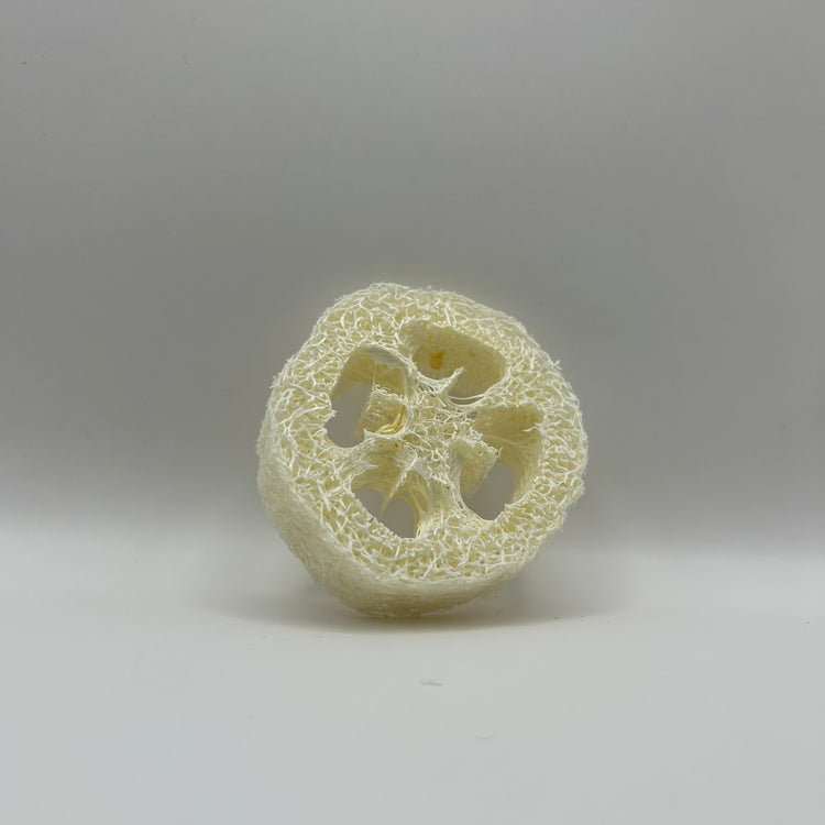 Loofah