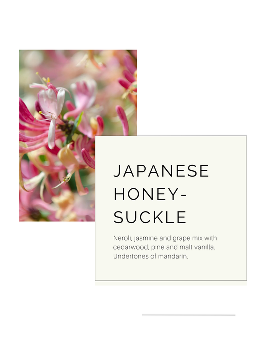 Japanese Honeysuckle | Soy Candle