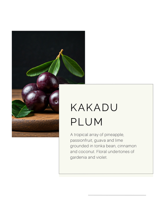 Kakadu Plum | Soy Candle
