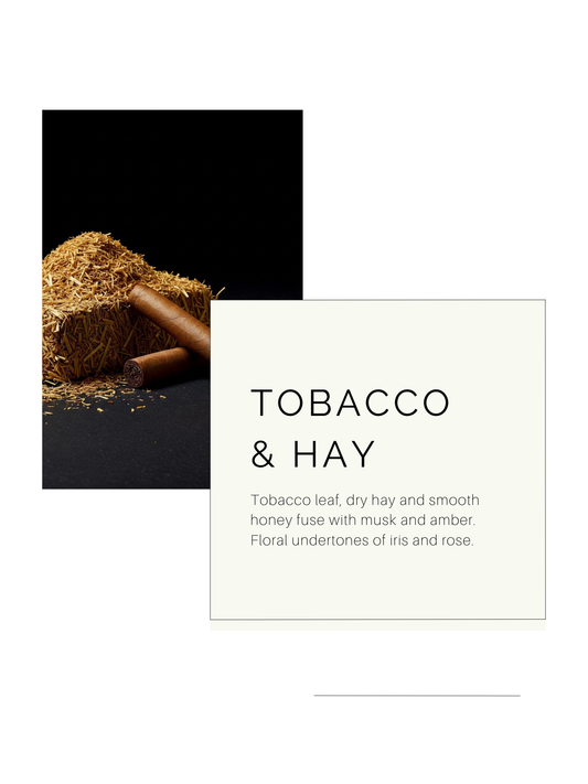Tobacco & Hay | Soy Candle