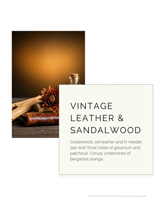 Vintage Leather & Sandalwood | Soy Candle
